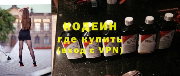 шишки Сатка