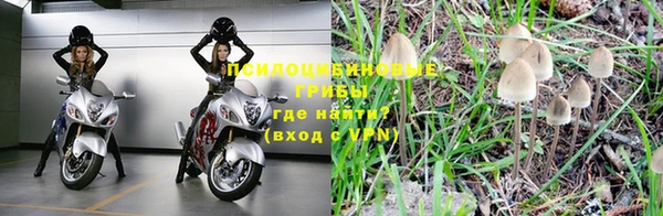 гидропоника Алексин