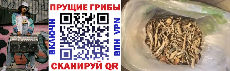 даркнет сайт  Бакал  Галлюциногенные грибы Cubensis 