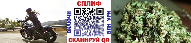 Канабис индика  Бакал 